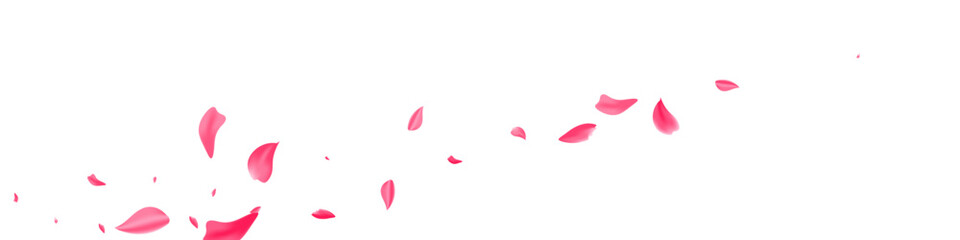 Pink Lotus Blur Vector White Panoramic