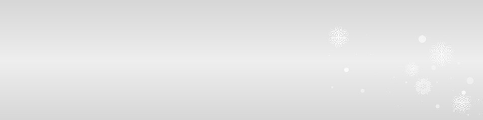 Fototapeta premium White Snowflake Vector Grey Panoramic Background.