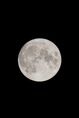 Obraz premium full moon in the night