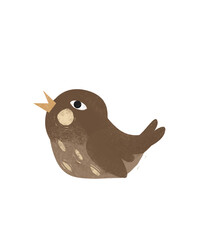 Cartoon animal bird robin isolated illustration