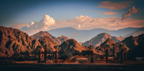 Mountain range in the Palm Springs desert, with palm trees during sunset