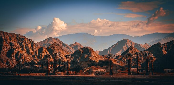 Fototapeta Mountain range in the Palm Springs desert, with palm trees during sunset