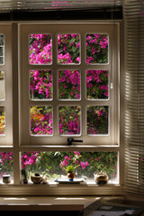 window with flowers