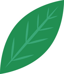 png leaf icon