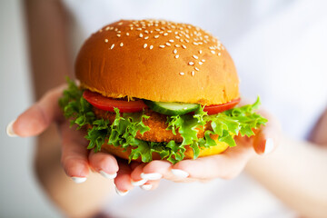 fresh tasty burger with beef, french salad and tomato on yellow plate