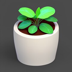 Isometric green plant in a pot