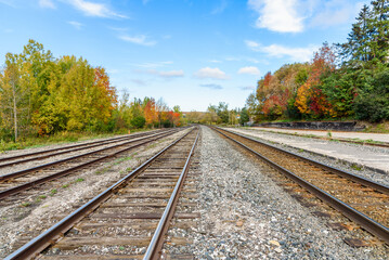 Fototapeta na wymiar Empty Railway Tracks lined with colourful autumnal trees at a train station on a clear day