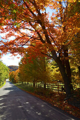 Fall landscape eastern townships Bromont Quebec province Canada