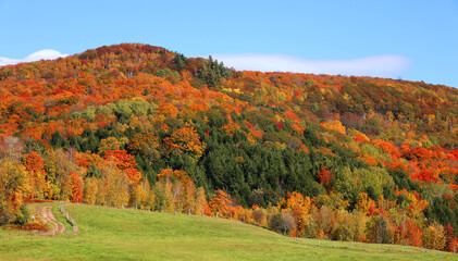 Fall landscape eastern townships Bromont Quebec province Canada - obrazy, fototapety, plakaty