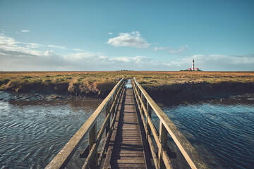 Salt March at northern Germany at Westerhever. High quality photo