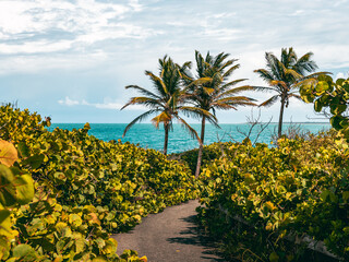 Peacefull tropical coast with nice views and trails from Puerto Rico Piñones la posita beach 