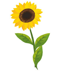 Cartoon scene with sunflower isolated on white background illustration for the children