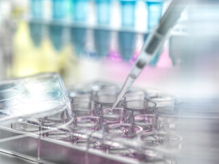 Scientist pipetting samples into a multi well plate in the lab