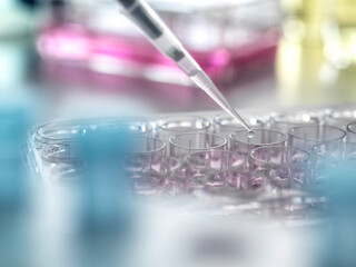Scientist pipetting samples into a multi well plate in the lab
