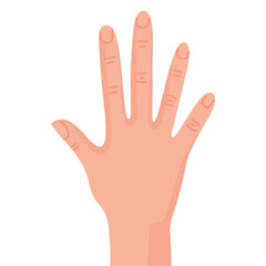 Fototapeta premium hand human stopping
