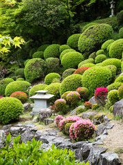 Traditional Japanese garden with azalea bushes blooming in springtime
