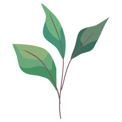 green branch with leafs