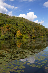 Protected landscape area with sandstone Rocks and green Nature in the Central Bohemia, Harasov, Kokorinsko, Czech Republic