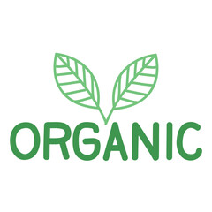 organic lettering with leafs