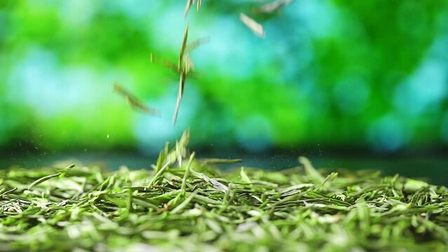 organic green tea