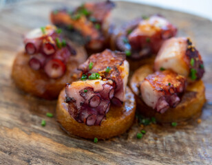 Spanish starter in fish restaurant in Getaria, grilled octopus with roasted potatoes and paprika, Basque Country, Spain