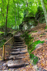Obraz premium Kokorin Castle from the first half 14th century and its surroundings. Gothic castle is located in the Village Kokorin, Protected landscape area, in the Central Bohemian Region, Czech Republic