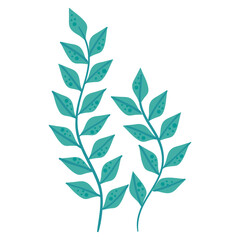 green branches seaweed