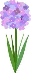 Cute garden lilac flower