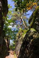 Kokorin Castle from the first half 14th century and its surroundings. Gothic castle is located in the Village Kokorin, Protected landscape area, in the Central Bohemian Region, Czech Republic