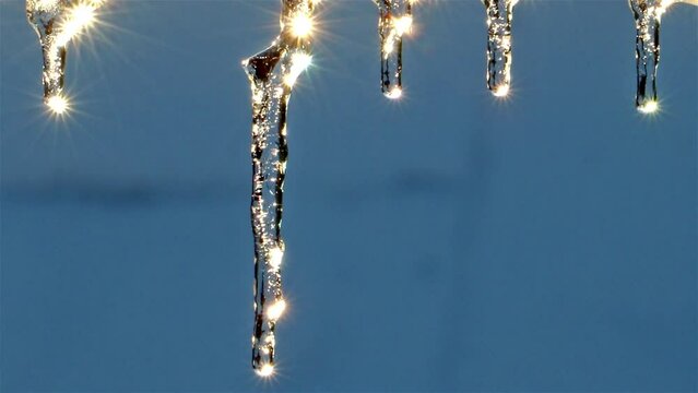 Water drops falls from an icicle with a reflection of the sun.