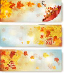 Naklejka na ściany i meble Three abstract autumn banners with color leaves and umbrella. Vector illustration