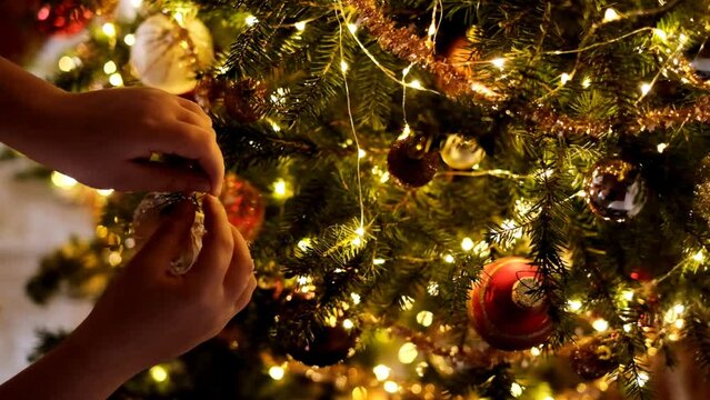 Decoration of the Christmas tree with holiday toys.Childrens hands decorate the Christmas tree with shiny balls.Hands hangs a ball on a spruce branch with luminous garlands.Festive Christmas tradition