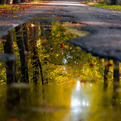 Selective focus puddle and street with reflection of trees along the side, Golden yellow and orange leaves in fall, Small road in countryside with pond and water after rain, Nature autumn background.
