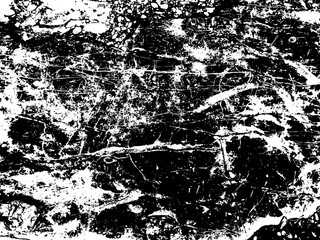 Abstract vector grunge stone wall texture.