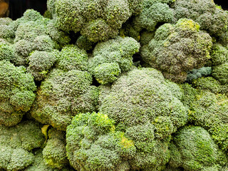 Fresh broccoli closeup on the market