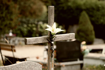 Stary zapomniany grób z krzyżem na cmentarzu.  - obrazy, fototapety, plakaty