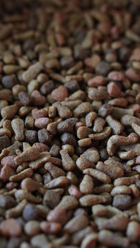 Comida de perro con formas de tuto de pollo y pescados de color caf&eacute;, rojizo y negro