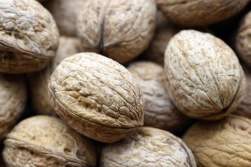 Detalle de un montón de nueces recogidas en otoño