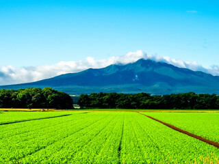 夏の斜里岳（北海道斜里町）