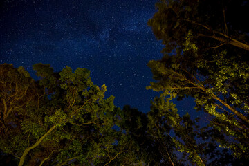 The night sky, as captured from a Provincial Park along Lake Ontario.