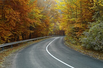 Fototapeta premium Autumn road through woods
