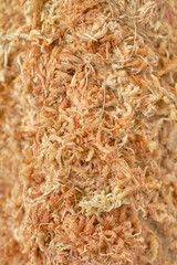 Close up of sphagnum moss packed and tied onto a post, as used for growing indoor climbing plants