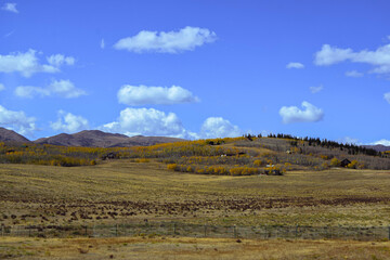 Fototapeta premium autumn in the mountains