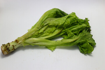 fresh green salad leaves or lettuce  isolated on white background