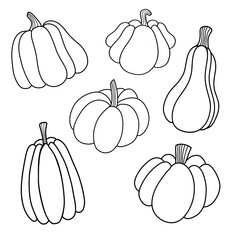 set of hand drawn pumpkins on white background