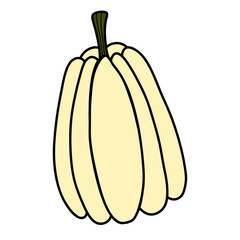 illustration of a hand drawn pumpkin, no background