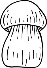doodle freehand sketch drawing of bolete mushroom. 