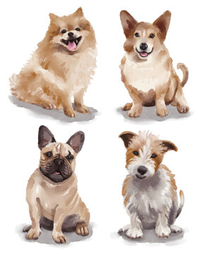 Watercolor illustration with different breeds of dogs - pomeranian, welsh corgi, french bulldog, russell terrier 