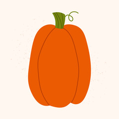 Hand drawn vector orange pumpkin. Isolated fall vegetable on light background