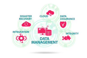 Fototapeta premium Data management concept business illustration